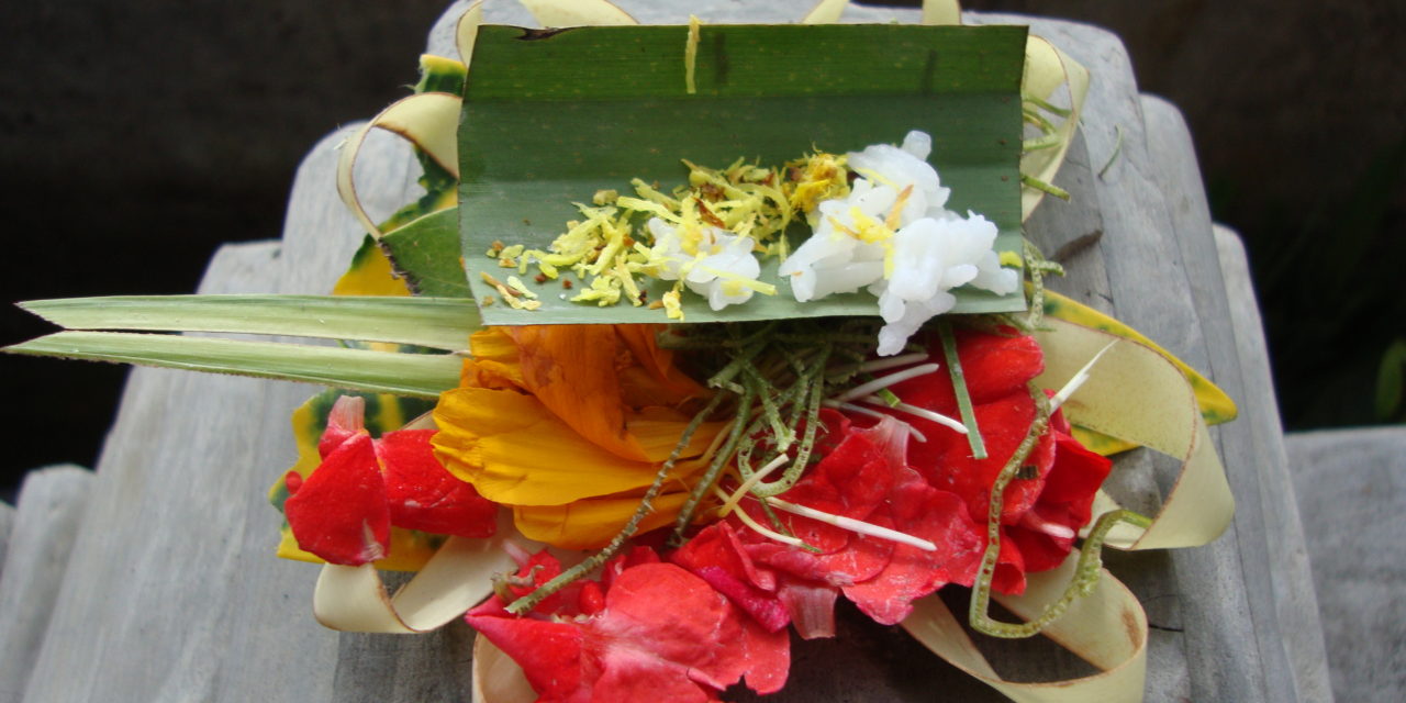 ವೈದೇಹಿ ಬರೆಯುವ ಕಳೆದುಹೋದ ಗಿರಿಬಾಲೆಯ ಚರಿತ್ರೆ – ೩