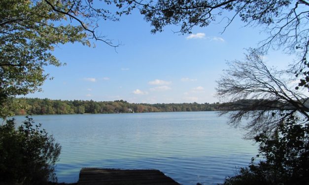 ತರೀಕೆರೆ ಏರಿಯಾ: ಬಂಗಾಳದ ಪುಖೂರ್ ಕೆರೆಗಳು