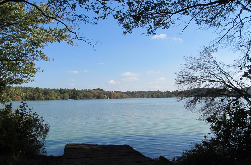 ತರೀಕೆರೆ ಏರಿಯಾ: ಬಂಗಾಳದ ಪುಖೂರ್ ಕೆರೆಗಳು