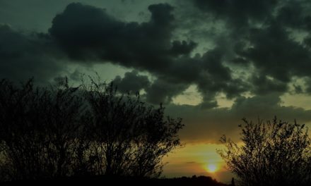 ನೀನೊಂದು ಅಲುಗಾಡದ ಗೊಂಬೆಯ ಹಾಗೆ: ನಕ್ಷತ್ರ ಬರೆದ ದಿನದ ಕವಿತೆ