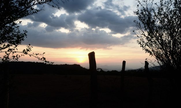 ನೀನು ಒಳಗೆ ಸೀಳಿಕೊಂಡು:ನಕ್ಷತ್ರ ಬರೆದ ದಿನದ ಕವಿತೆ