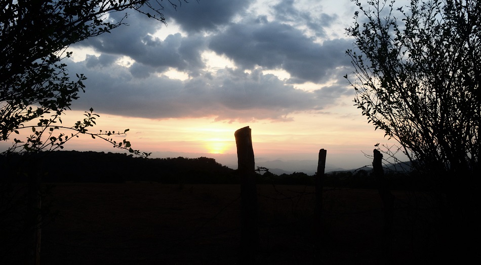 ನೀನು ಒಳಗೆ ಸೀಳಿಕೊಂಡು:ನಕ್ಷತ್ರ ಬರೆದ ದಿನದ ಕವಿತೆ