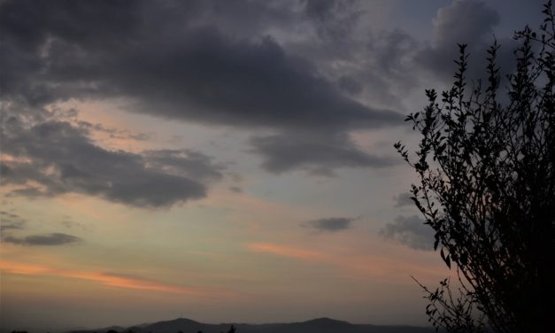 ನಾನೀಗ ಸತ್ತಂತೆ, ಮತ್ತೆ ಹುಟ್ಟಿದಂತೆ:ನಕ್ಷತ್ರ ಬರೆದ ದಿನದ ಕವಿತೆ