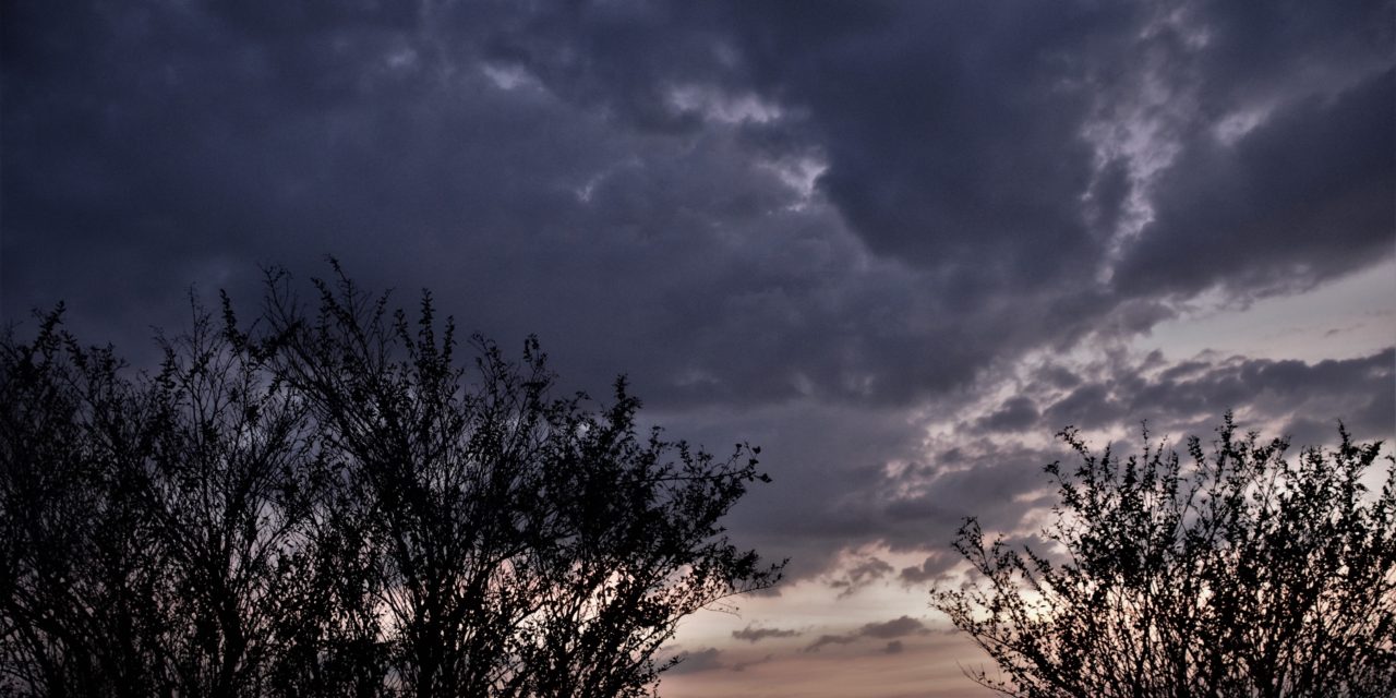 ನೀನು ಎಂದರೆ ಏನು ನನಗೆ?:ನಕ್ಷತ್ರ ಬರೆದ ದಿನದ ಕವಿತೆ