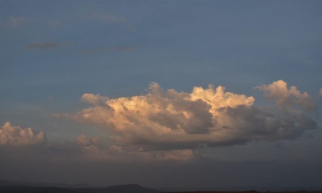 ಈ ಮಿಂದ ಕೂದಲುಗಳು:ನಕ್ಷತ್ರ ಬರೆದ ದಿನದ ಕವಿತೆ