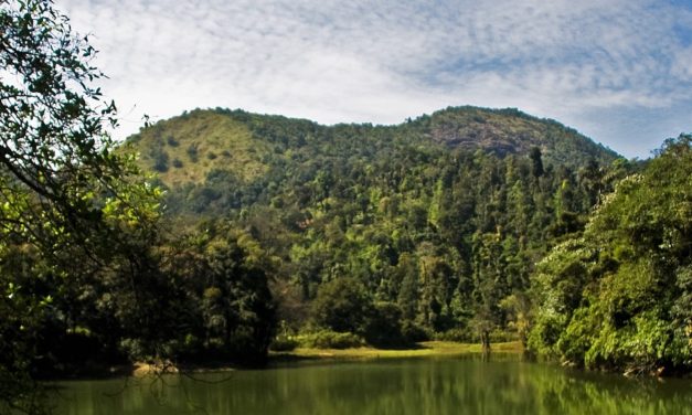 ನನಗೆ ಮೀಯುವ ಹುಚ್ಚು:ನಕ್ಷತ್ರ ಬರೆದ ದಿನದ ಕವಿತೆ