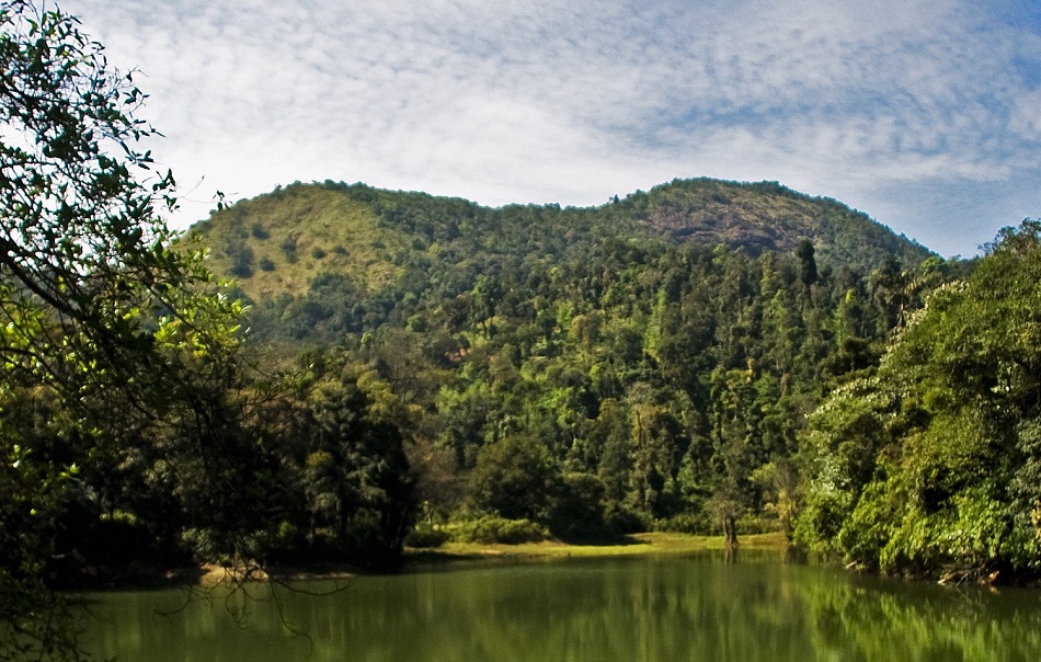 ನನಗೆ ಮೀಯುವ ಹುಚ್ಚು:ನಕ್ಷತ್ರ ಬರೆದ ದಿನದ ಕವಿತೆ