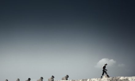 ಹೀಗೊಬ್ಬರು ಅಪರೂಪದ ರಾಜಕಾರಣಿ ಬಿ.ವಿ.ನಾಯಕ