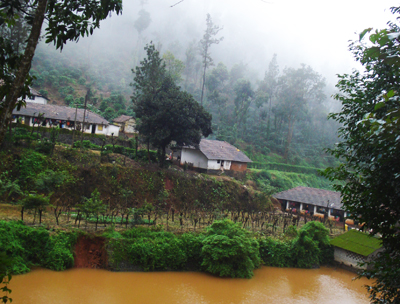 ಹಂಚಿಕೊಳಲಿನ ಅನುಬಂಧಗಳು: ನಾಗಶ್ರೀ ಅಂಕಣ