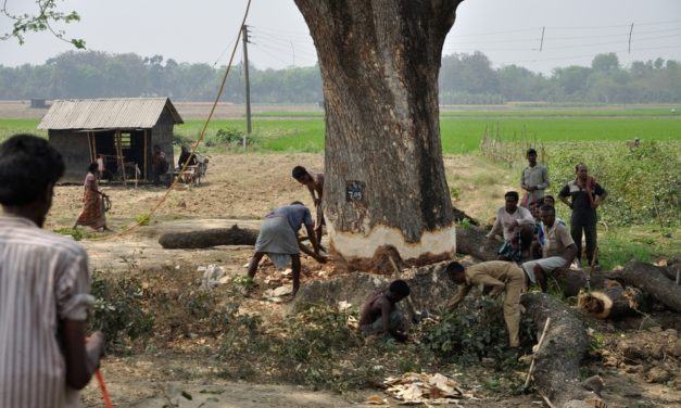 ಕದ್ದು ಮುಚ್ಚಿ ಮರವ ಕಡಿದು: ಅನಿವಾಸಿಯ ಆಸ್ಟ್ರೇಲಿಯಾ ಪತ್ರ