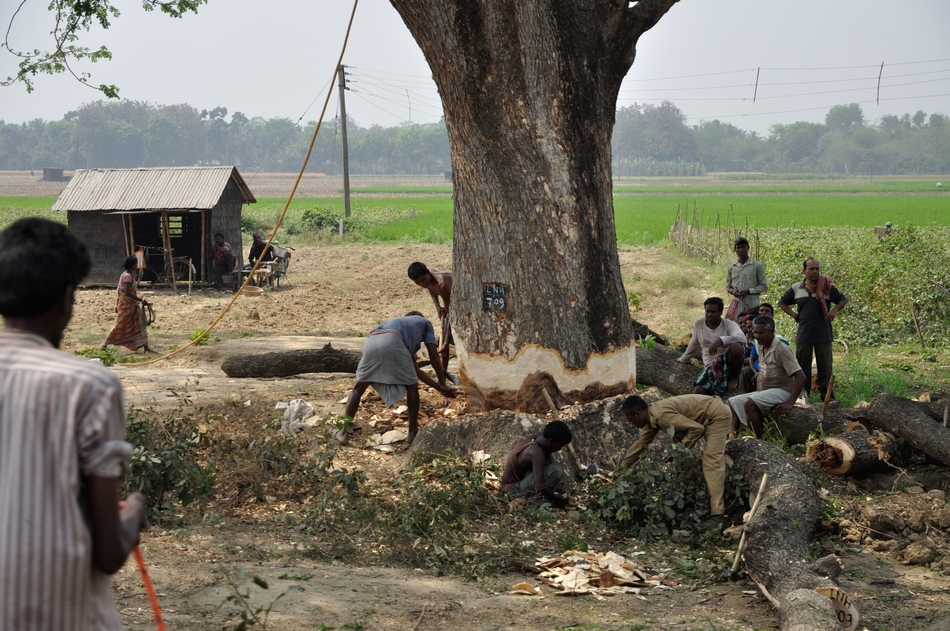 ಕದ್ದು ಮುಚ್ಚಿ ಮರವ ಕಡಿದು: ಅನಿವಾಸಿಯ ಆಸ್ಟ್ರೇಲಿಯಾ ಪತ್ರ