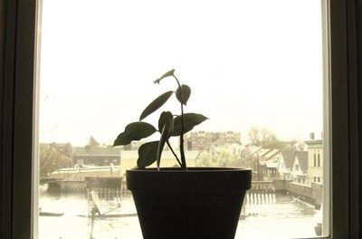 ಉಳ್ಳವರು, ಇರದವರು ಎಲ್ಲರನು ನೋಡುತ್ತಾ……..