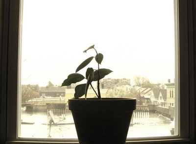 ಉಳ್ಳವರು, ಇರದವರು ಎಲ್ಲರನು ನೋಡುತ್ತಾ……..