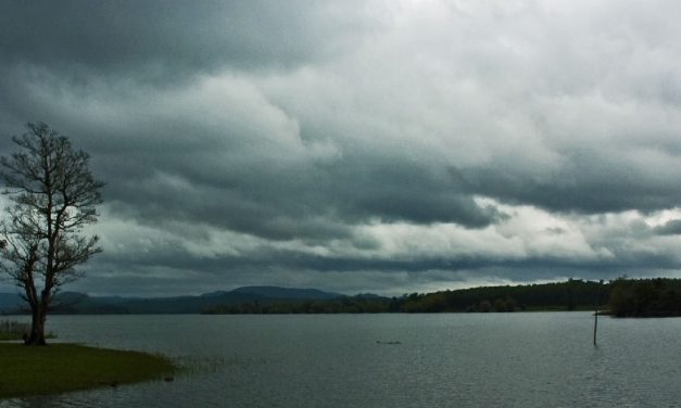 ಸರಗೂರಿನ ಅರಮನೆ : ಭಾರತಿ ನೆನಪಿನ ಓಣಿ