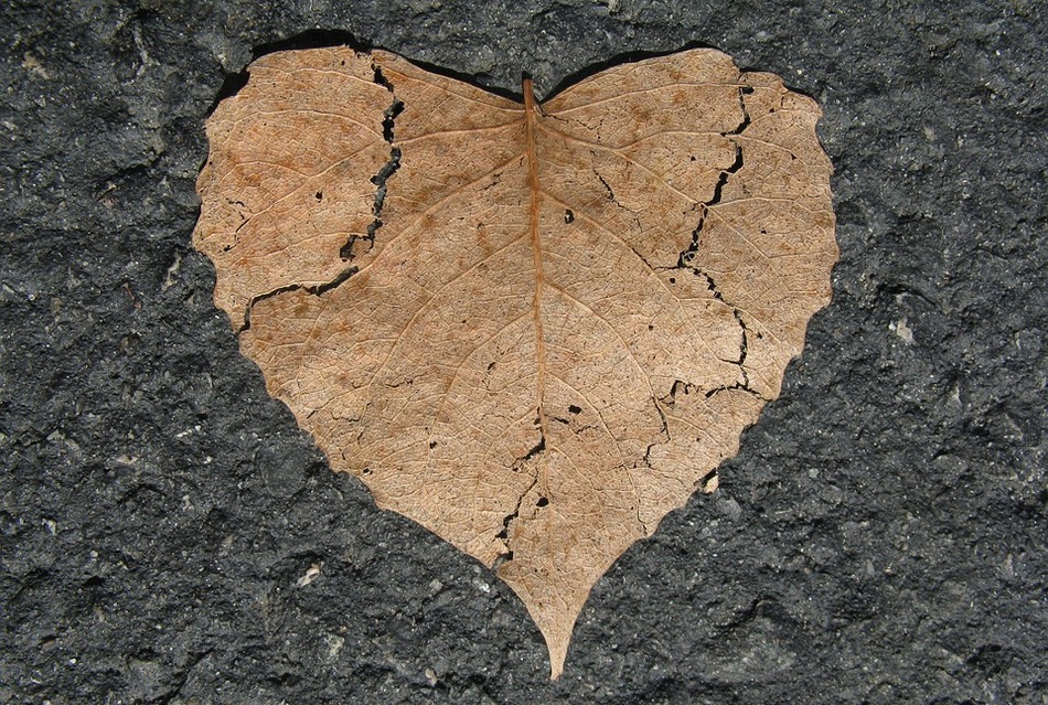 ಕೆ.ಟಿ ಗಟ್ಟಿ ಬರೆಯುವ ಬಿಸಿಲುಕೋಲು -ಭೂಮಿಯ ದುಃಖಗಳ ಲೆಕ್ಕಾಚಾರ