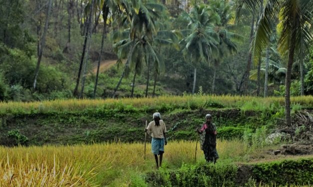 ಹೇಮಾ ಬರೆಯುವ ಅಪ್ಪನ ನೆನಪುಗಳು