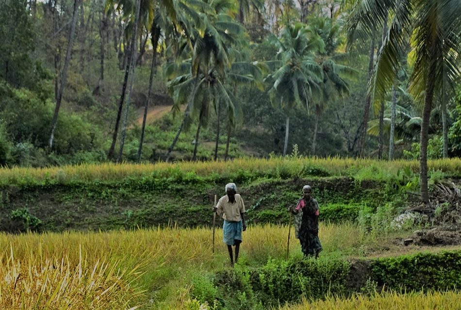 ಹೇಮಾ ಬರೆಯುವ ಅಪ್ಪನ ನೆನಪುಗಳು