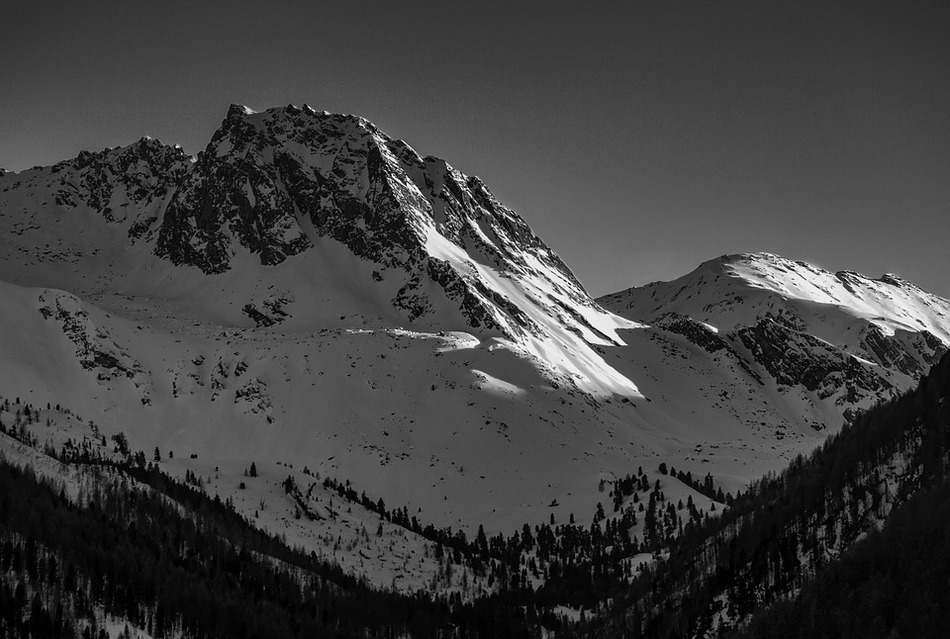 ಬಾಯರಿ ಮಾಸ್ತರು ಪೆಜತ್ತಾಯರಿಗೆ ದಯಪಾಲಿಸಿದ ಚಿತ್ರ