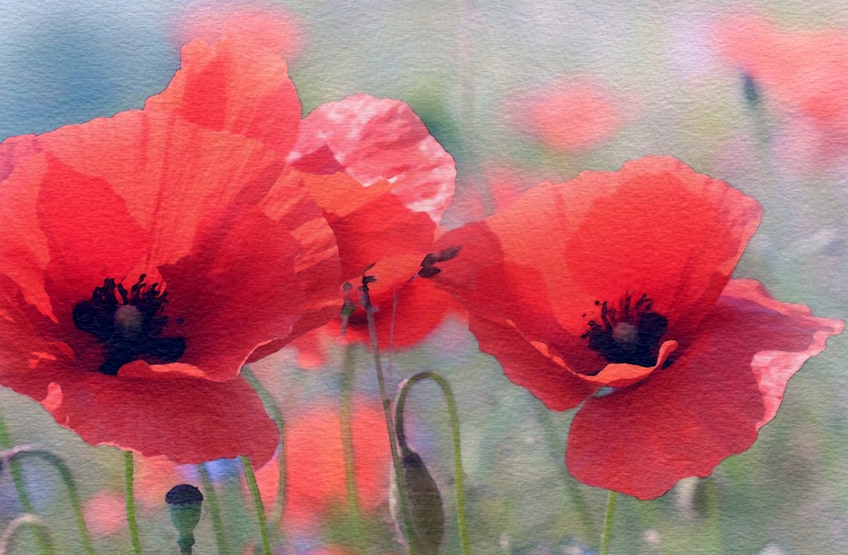 ಭಾನುವಾರದ ಸ್ಪೆಷಲ್ – ಎಸ್.ಮಂಜುನಾಥ್ ಬರೆದ ಕವಿತೆ-ಸಹಜ ಒಳಿತಿಗೊಂದು ಸಮಾರಂಭ