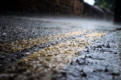 ಸಹ್ಯಾದ್ರಿ ನಾಗರಾಜ್: ಮಳೆ ಕಾವ್ಯಶಾಲೆ