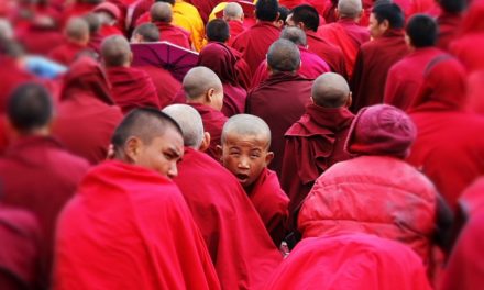 ಲಾಮಾ ಕ್ಯಾಂಪಿನಲ್ಲಿ ಮರೆತ ಫಿಲಾಸಫಿ