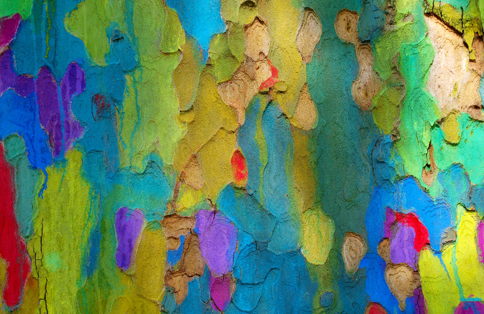 ಸರ್ವಮಂಗಳ ಬರೆದ ಮೂರು ಕವಿತೆಗಳು