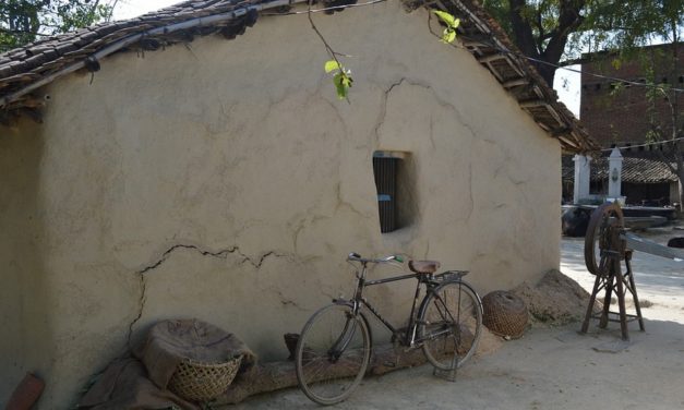 ದೇವನೂರು ಬರೆದ ಮಾಜೀ ಪೈಲ್ವಾನನ ಹಾಲಿ ಜೀವನ