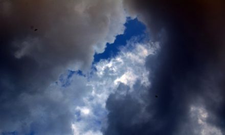 ಕವಿ ಹೃದಯ ಮತ್ತು ಕಾಡುಹಂದಿ: ಅಬ್ದುಲ್ ರಶೀದ್ ಅಂಕಣ