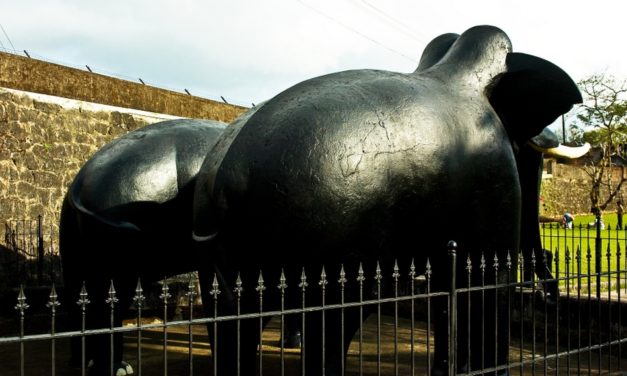 ರಾಜರ ಕಾಲದ ಬ್ರಾಯ್ಲರ್ ಕೋಳಿ: ಅಬ್ದುಲ್ ರಶೀದ್ ಅಂಕಣ