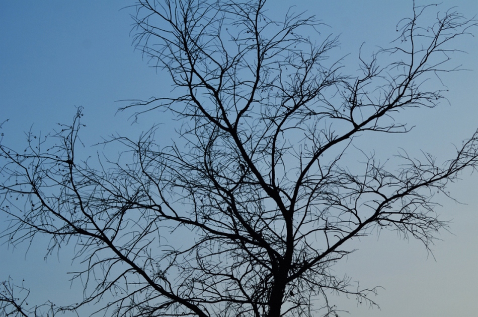 ಇರುವೆಗೆ ಆನೆಯ ಕಷ್ಟ: ಅಬ್ದುಲ್ ರಶೀದ್ ಅಂಕಣ