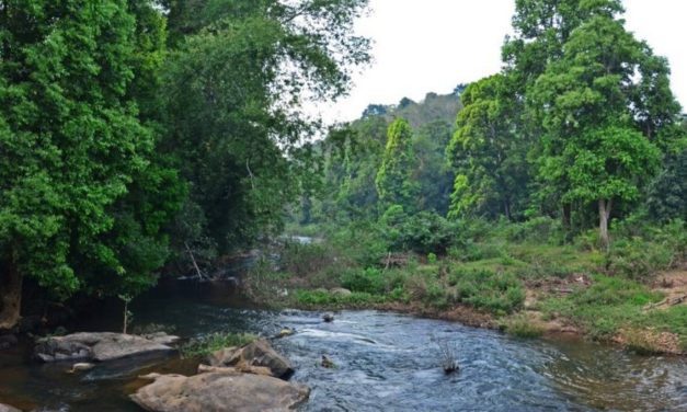 ಮೂಷಿಕ ವಿಜ್ಞಾನಿ ಹೇಳಿದ ಸಾಮಾಜಿಕ ಕಾಮಿಡಿಗಳು: ಅಬ್ದುಲ್ ರಶೀದ್ ಅಂಕಣ