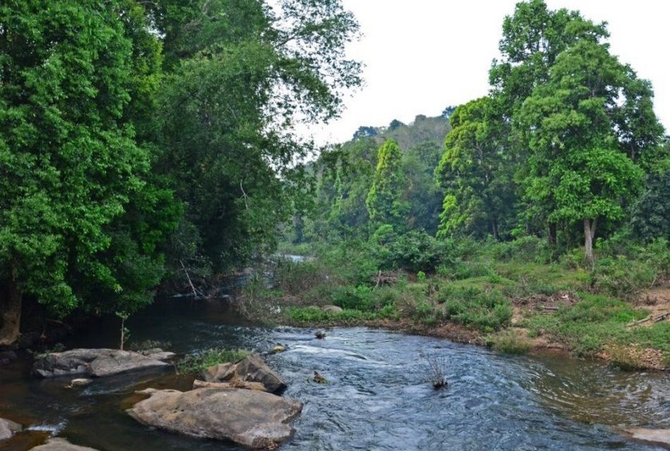 ಮೂಷಿಕ ವಿಜ್ಞಾನಿ ಹೇಳಿದ ಸಾಮಾಜಿಕ ಕಾಮಿಡಿಗಳು: ಅಬ್ದುಲ್ ರಶೀದ್ ಅಂಕಣ