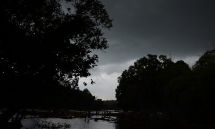 ಕಾಳಿ ತೋರಿಸಿದ ಕಾಡು ದಾರಿ: ಅಬ್ದುಲ್ ರಶೀದ್ ಅಂಕಣ