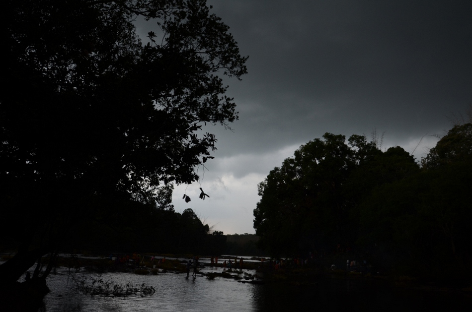 ಕಾಳಿ ತೋರಿಸಿದ ಕಾಡು ದಾರಿ: ಅಬ್ದುಲ್ ರಶೀದ್ ಅಂಕಣ