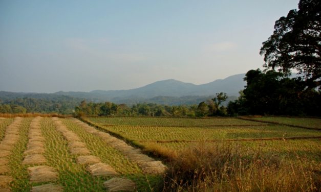 ಮಲಯರ ಭಗವತಿಯ ಪಾತ್ರಿ ಹೇಳಿದ ಕಥೆ: ಅಬ್ದುಲ್ ರಶೀದ್ ಅಂಕಣ