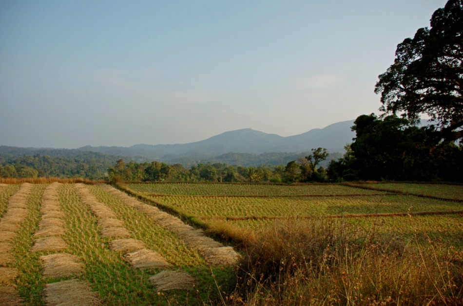 ಮಲಯರ ಭಗವತಿಯ ಪಾತ್ರಿ ಹೇಳಿದ ಕಥೆ: ಅಬ್ದುಲ್ ರಶೀದ್ ಅಂಕಣ