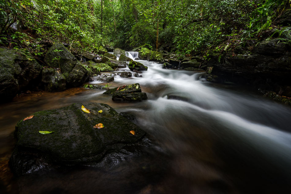 ಸುಮುಖ ಜಾವಗಲ್ ಕ್ಲಿಕ್ಕಿಸಿದ ನೀರ ಝರಿಯ ಚೆಲುವು…