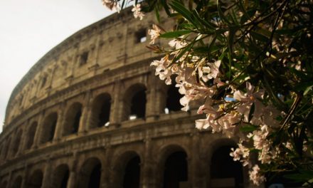 ಹೇಗಿದೆ ಈ ಒಲವು- ಚೆಲುವಿನ ಚಿತ್ರ?