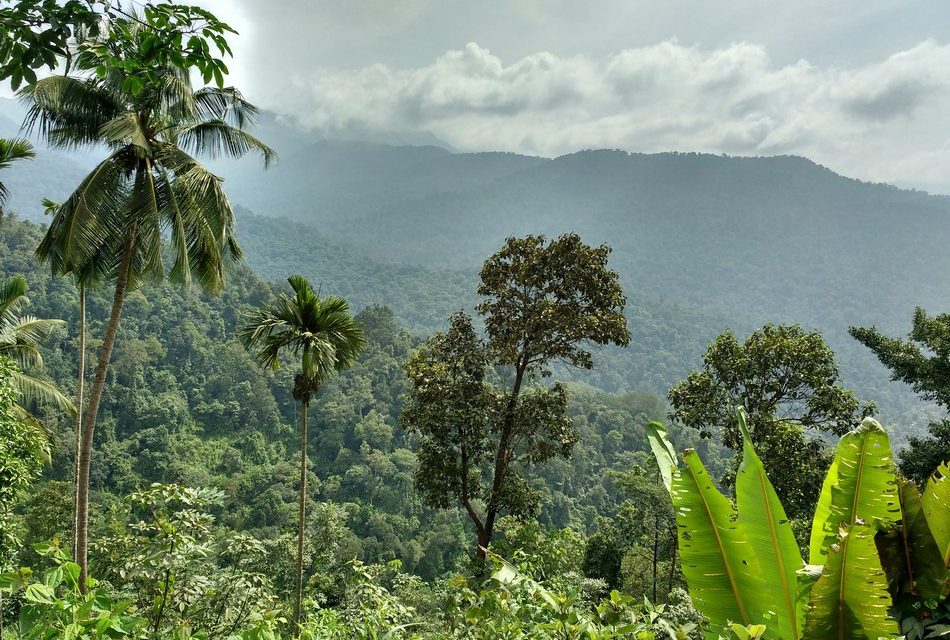 ಒಂದು ದೇಹದಾನದ ಕಥೆ: ಅಬ್ದುಲ್ ರಶೀದ್ ಅಂಕಣ