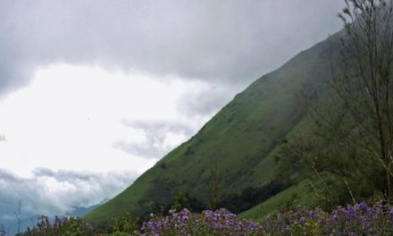 ತರೀಕೆರೆ ಏರಿಯಾ:ಬಿಡದ ಬೆಟ್ಟದ ಮಾಯೆ