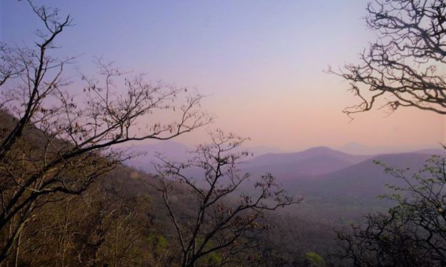 ಎಳ್ಳು ಬೆಲ್ಲ ಸಕ್ಕರೆ ಅಚ್ಚು ಸಂಕ್ರಾಂತಿ: ಭಾರತಿ ಬರಹ