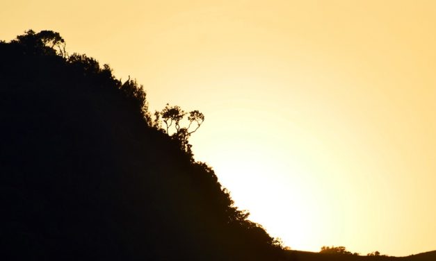 ಸಿಲೋನ್ ಅಣ್ಣಾಚಿಯ ಕಥೆ: ಅಬ್ದುಲ್ ರಶೀದ್ ಅಂಕಣ