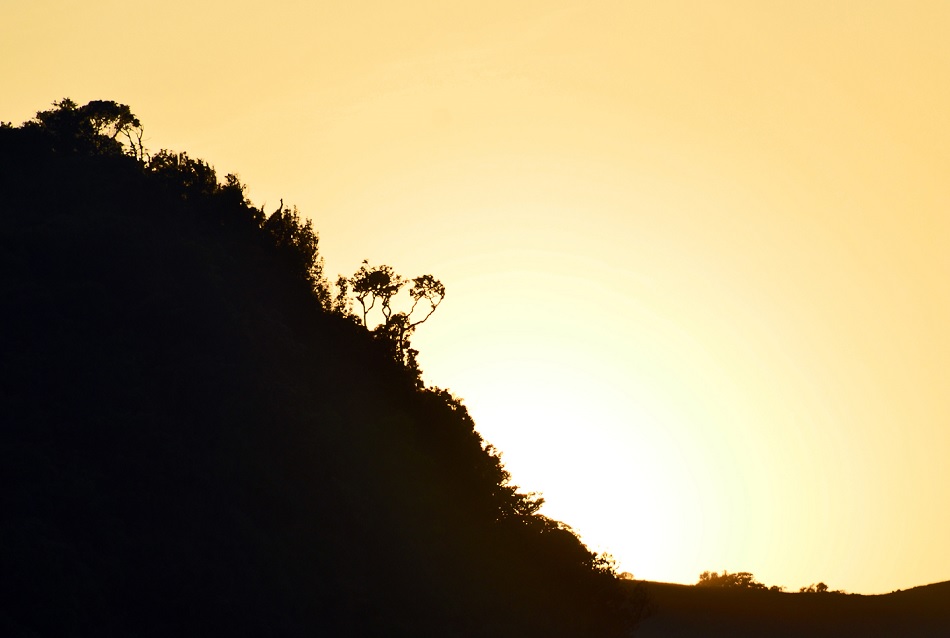 ಸಿಲೋನ್ ಅಣ್ಣಾಚಿಯ ಕಥೆ: ಅಬ್ದುಲ್ ರಶೀದ್ ಅಂಕಣ