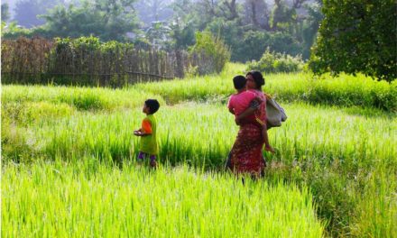 ಅನುಪಮಾ ಬರೆದ ಡಾಕ್ಟರ ಡೈರಿಯ ಪುಟಗಳು
