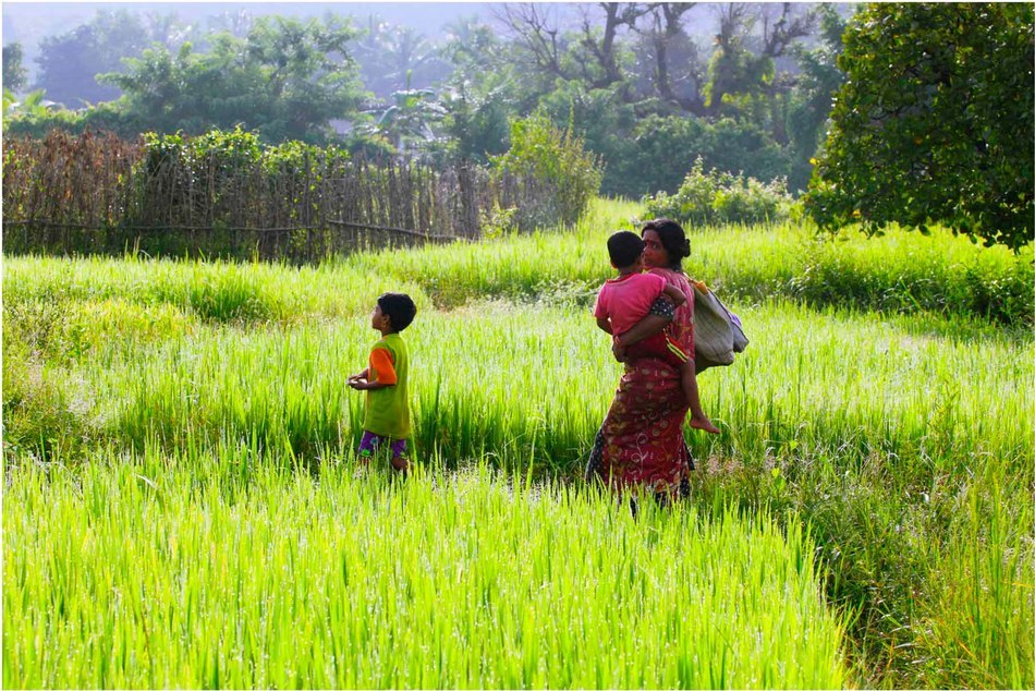 ಅನುಪಮಾ ಬರೆದ ಡಾಕ್ಟರ ಡೈರಿಯ ಪುಟಗಳು