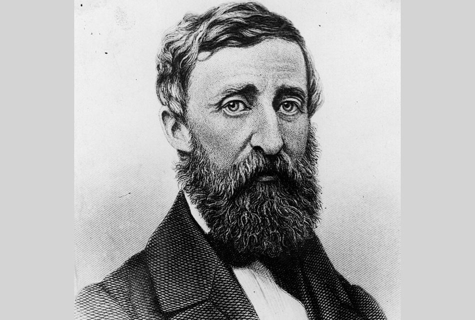 ರಗಳೆಗಳಿಲ್ಲದ ಥೋರೋನ ಲೋಕದಲ್ಲಿ: ಸಿಂಧು ಸಾಗರ ಬರೆಯುವ ಲಾವಂಚ