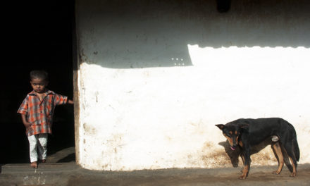ಈ ದಿನದ ಫೋಟೋ ಕ್ಲಿಕ್ಕಿಸಿದವರು ಅಬ್ದುಲ್ ರಶೀದ್