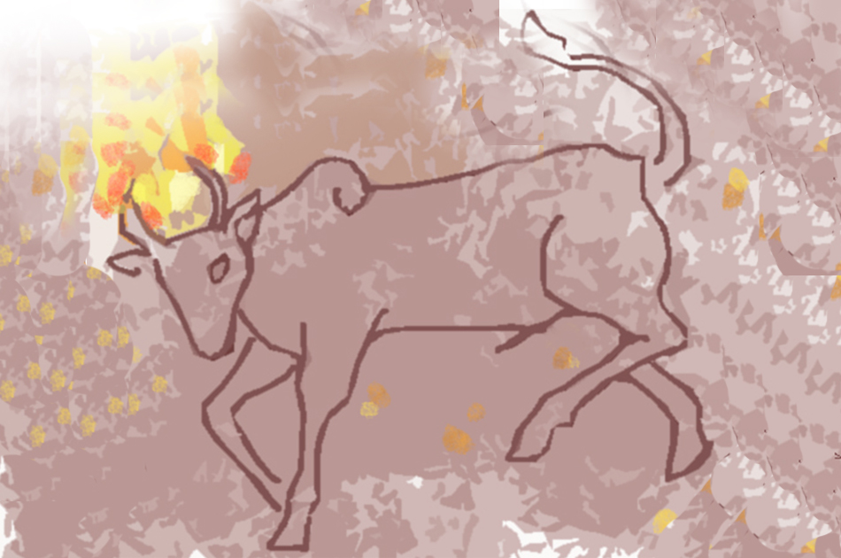 ಬಾರಿಯಂಡ ಜೋಯಪ್ಪ ಬರೆದ ಕಾಟಿಬೆಟ್ಟದ ಸರಣಿ.