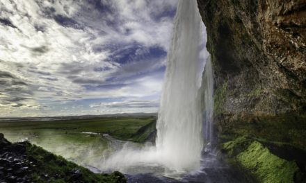 ವಿವೇಕ್ ಉಚ್ಚಿಲ್ ಸೆರೆ ಹಿಡಿದ ದಿನದ ಛಾಯಾಚಿತ್ರ