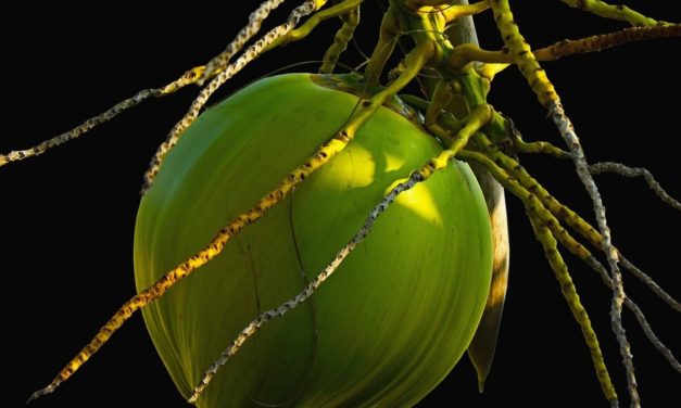 ನಾ.ಡಿಸೋಜಾ ಕಲಿತ ಮೊದಲ ಕನ್ನಡ ಪದ್ಯ